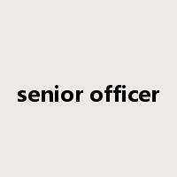 senior officer是什么意思