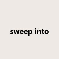 sweep into是什么意思