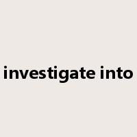 investigate into是什么意思