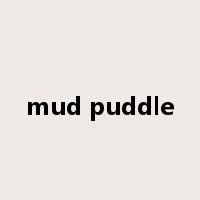 mud puddle是什么意思