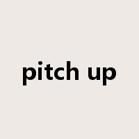 pitch up是什么意思