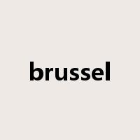 brussel是什么意思