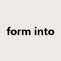 form into是什么意思