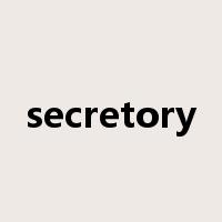 secretory是什么意思