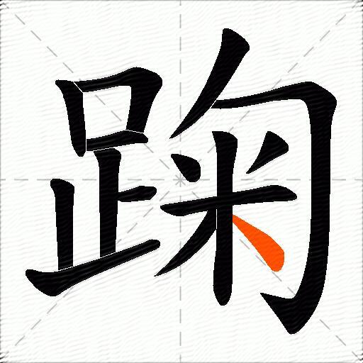 踘