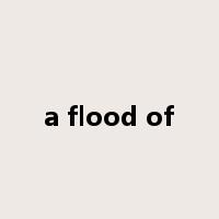a flood of是什么意思