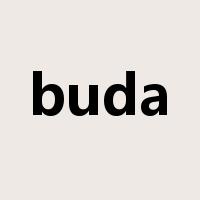 buda是什么意思