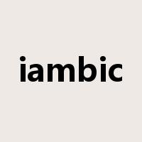 iambic是什么意思