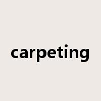 carpeting是什么意思