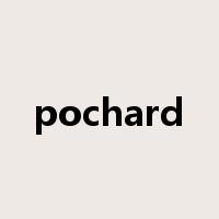pochard是什么意思