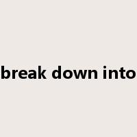 break down into是什么意思