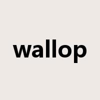 wallop是什么意思