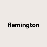 flemington是什么意思
