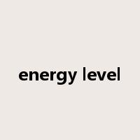 energy level是什么意思