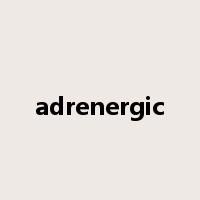adrenergic是什么意思