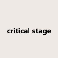 critical stage是什么意思