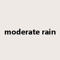 moderate rain是什么意思