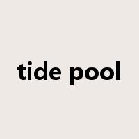 tide pool是什么意思