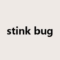 stink bug是什么意思