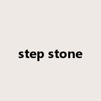 step stone是什么意思