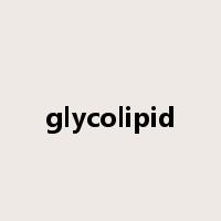 glycolipid是什么意思
