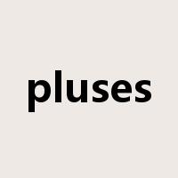 pluses是什么意思