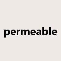 permeable是什么意思