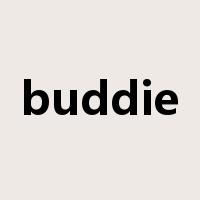 buddie是什么意思