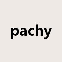pachy是什么意思