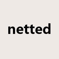 netted是什么意思