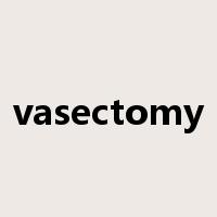 vasectomy是什么意思