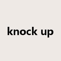 knock up是什么意思