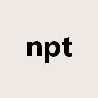 npt是什么意思