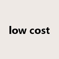 low cost是什么意思