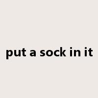 put a sock in it是什么意思