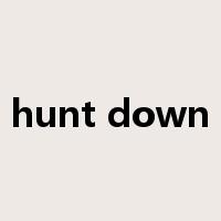 hunt down是什么意思