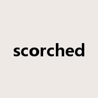 scorched是什么意思