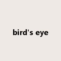 bird's eye是什么意思
