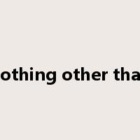 nothing other than是什么意思