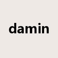 damin是什么意思