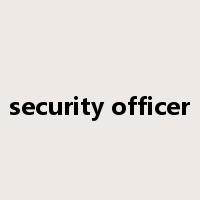 security officer是什么意思