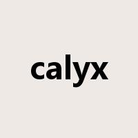 calyx是什么意思