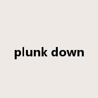plunk down是什么意思