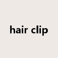 hair clip是什么意思