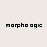 morphologic是什么意思