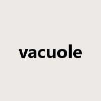 vacuole是什么意思