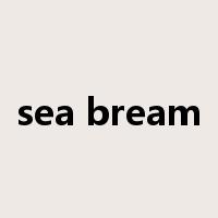 sea bream是什么意思