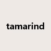 tamarind是什么意思