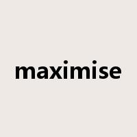 maximise是什么意思
