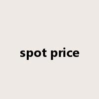 spot price是什么意思